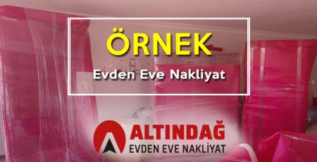 örnek evden eve nakliyat